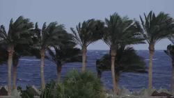 What is La Niña? Instructional Video