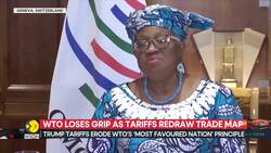 WTO Chief Warns of Biggest Trade Disruption in 80 Years News Clip