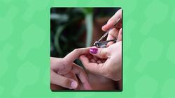 I WONDER - Are Nails Alive?
 Me Pregunto - Están Vivas Las Uñas? Instructional Video