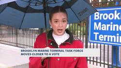 Taskforce inches closer toward vote on plan to revamp Brooklyn Marine Terminal News Clip