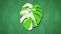 I WONDER - What Is Chlorophyll? Instructional Video