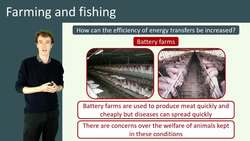 Efficient Food Production: Farming and Fishing Techniques Instructional Video