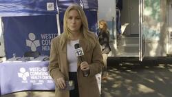 Flu, COVID vaccines being offered to early voters at the Greenburgh Town Hall Instructional Video