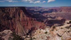 I WONDER - What Animals Live In The Grand Canyon? Instructional Video