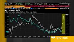 HG's Goetti: Inflation Bets Overblown News Clip