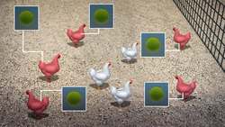 China confirms H5N1 bird flu outbreak in Hunan province Instructional Video