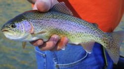 One test shows every bacteria, virus, and parasite in your body - Biotech's Future Instructional Video