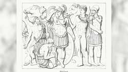 Did You Know? Achilles Instructional Video