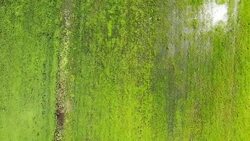 Aerial view of countryside over meadow in spring season Stock Footage