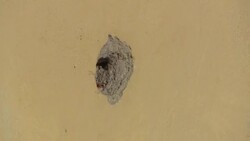 CLEAN : Mexican home where Trotsky was murdered 80 years ago turned into museum News Clip