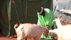 CLEAN : The crisis that continues to worsen in central Mali News Clip