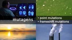 Types of Mutations Instructional Video