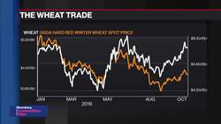 Ospraie’s Anderson: 2021 Gas Starting to Look ‘Interesting’, Palladium Potentially 'Explosive' News Clip