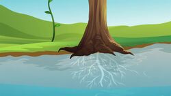 I WONDER - What Is Soil Erosion? Instructional Video