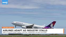 When Flying Stalls: How Airlines Keep Planes Air-Ready News Clip