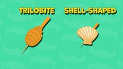 High Five Facts - Viking Clothes Instructional Video