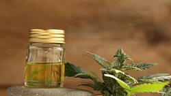 medical cannabis Stock Footage