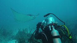 TED: What I learned from spending 31 days underwater | Fabien Cousteau Instructional Video