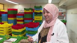 Kenya pollution: Plastic-eating mealworms offer hope for waste crisis News Clip