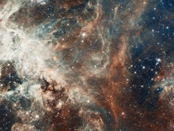 El sol y las estrellas: el espacio Instructional Video