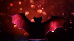 Atmosphere of Halloween Stock Footage