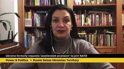 NATO accession will 'depend on when war will end,' says Ukrainian MP News Clip