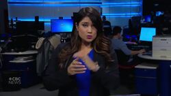 Proposed arrangement acknowledging Wet'suwet'en land title reached but pipeline debate continues News Clip