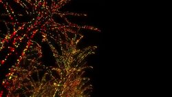 Neon Tree illumination Stock Footage