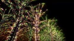 Neon Tree illumination Stock Footage