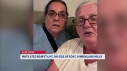 Mutilated bear found in Highland Mills; DEC investigation underway News Clip