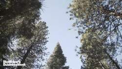 Stopping Forest Fires from Space News Clip