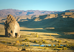 Biomas terrestres: las praderas templadas Instructional Video