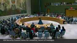 No sign of ceasefire in Gaza after UN Security Council resolution News Clip
