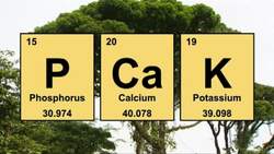 Traveling Desert Sand: What does traveling sand do Instructional Video