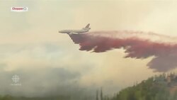 Wildfires rage across several U.S. states News Clip