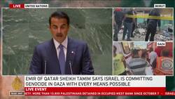 Emir of Qatar condemns ‘blatant aggression’ against Palestinians News Clip