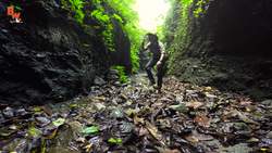 Mysterious Water Anole Instructional Video