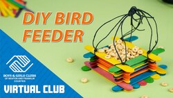 DIY Project: How To Make A Popsicle Stick Bird Feeder Instructional Video