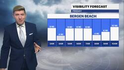 Sunny skies and warm temperatures in Brooklyn Instructional Video