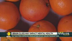 Mysteries of gut-brain connection: Eating citrus may lower depression risk by 20% News Clip
