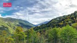 Are wooden skyscrapers the future? Instructional Video