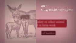 The Taming of the Shrew 1.2 Word Nerd: “ass” Instructional Video