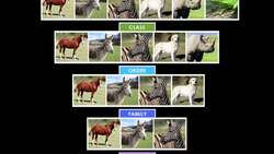 Kingdom Instructional Video