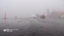 Mild winter impacts snowfall — and businesses — in B.C. News Clip