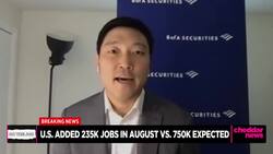 Breakdown of August Jobs Report Showing 235K Jobs Added News Clip