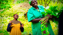 TED: The tree-growing movement restoring Africa's vital landscapes | Wanjira Mathai Instructional Video