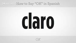 How to Say "OK" in Spanish Instructional Video