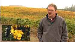 An Oregon Grape Grower From Wall Street to Vineyard Farm Instructional Video
