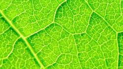 Engineering smart building skins for cleaner, greener architecture - Science Nation Instructional Video