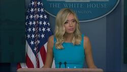 White House Says No Tear Gas Used to Clear Protesters at St. John's Church News Clip